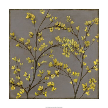 Forsythia II by Jennifer Goldberger art print