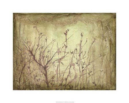 Dancing Branches II by Jennifer Goldberger art print