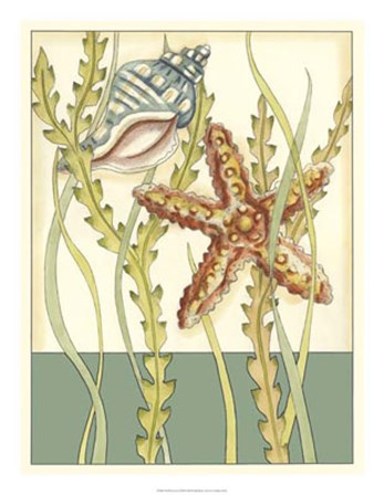 Shell Season I by Chariklia Zarris art print