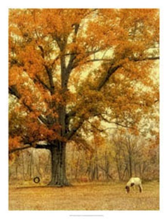 Autumn Grazing by Danny Head art print