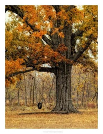 Tree Swing by Danny Head art print