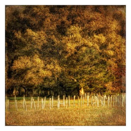 Fence Row by Danny Head art print