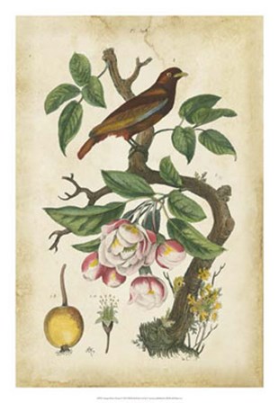 Antique Bird in Nature I by Therese Guerin art print