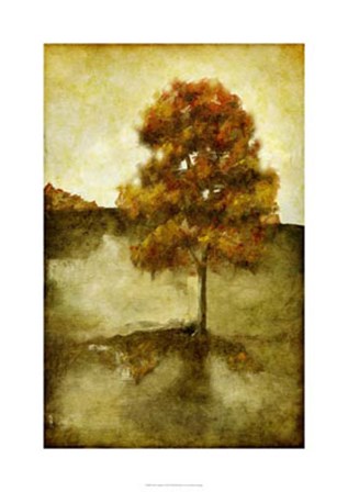 Sunset Solitude I by Jennifer Goldberger art print