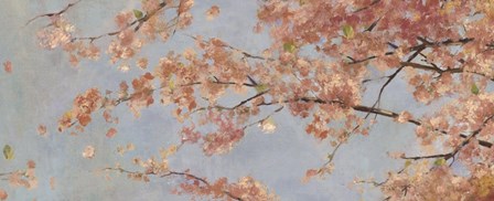 Osaka Blossoms I by Asia Jensen art print