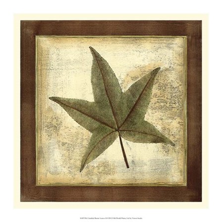 Rustic Leaves II - No Crackle by Vision Studio art print