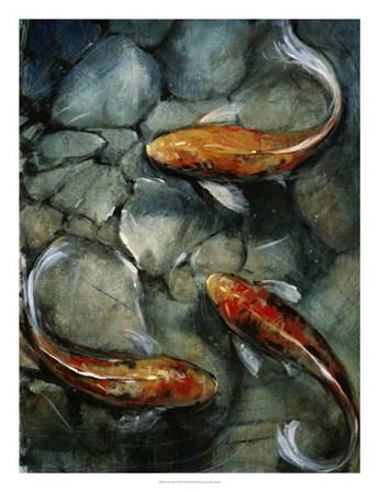 Tres Koi I by Timothy O&#39;Toole art print