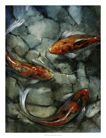 Tres Koi II by Timothy O&#39;Toole art print