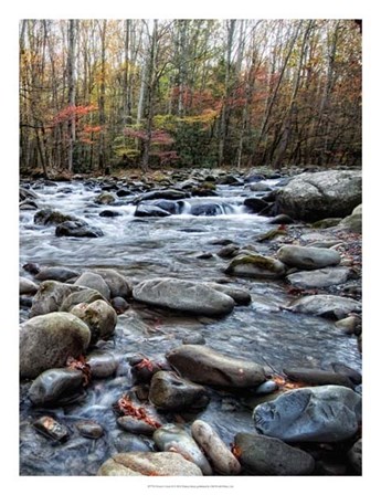 Porter&#39;s Creek II by Danny Head art print