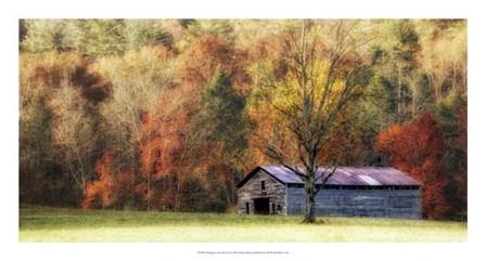 Waiting For the Harvest by Danny Head art print