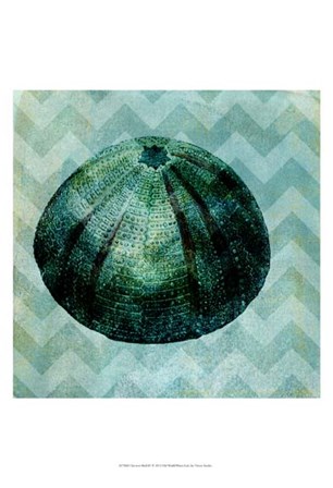 Chevron Shell IV by Vision Studio art print