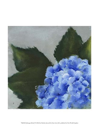 Hydrangea Detail I by Liz Nichols art print