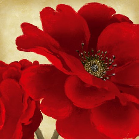 Red Peony I by Linda Wood art print