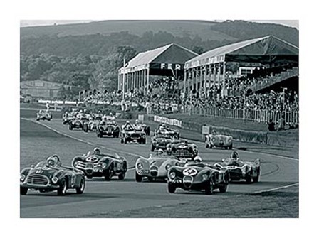 Goodwood by Ben Wood art print