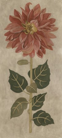 Dahlia I by Chariklia Zarris art print