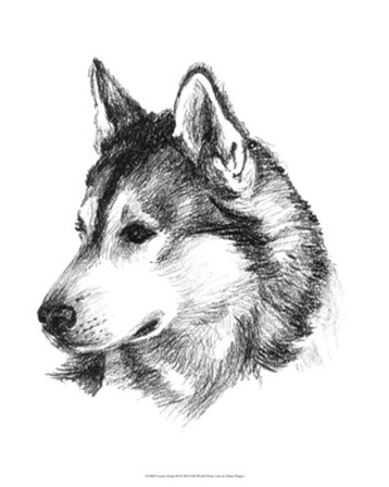 Canine Study III by Ethan Harper art print