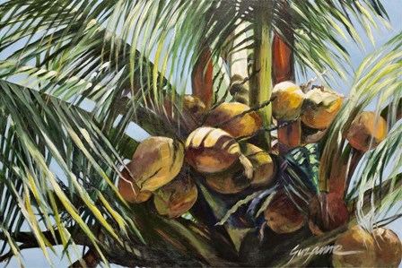 Los Cocos by Suzanne Wilkins art print