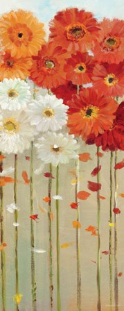 Daisies Fall II by Danhui Nai art print