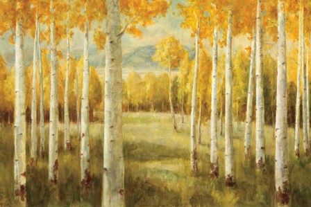 Aspens by Danhui Nai art print