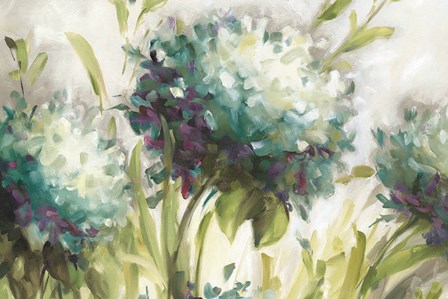 Hydrangea Field by Lisa Audit art print