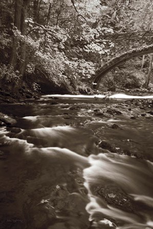 Whatcom Creek by Alan Majchrowicz art print