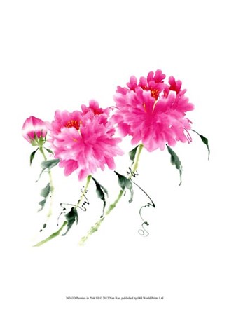 Peonies in Pink III by Nan Rae art print