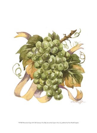 Watercolor Grapes II by Jerianne Van Dijk art print