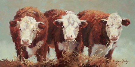 Three of a Kind by Carolyne Hawley art print