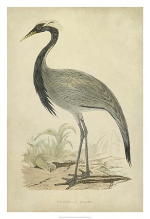 Morris Crane II by Tom Morris art print