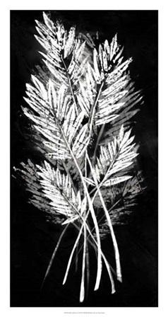 Palm Leaf Fresco II by Vision Studio art print