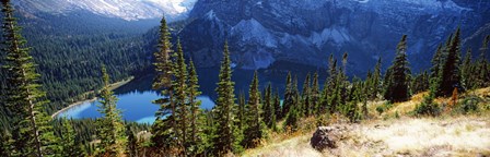 High angle view of a lake, Grinnell Lake, US Glacier National Park, Montana, USA by Panoramic Images art print