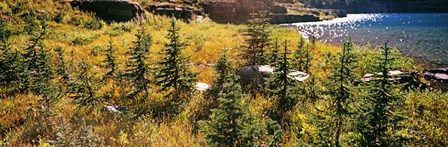 High angle view of a lake, Iceberg Lake, US Glacier National Park, Montana, USA by Panoramic Images art print