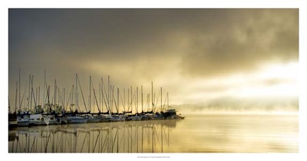 Marina Morning II by Danny Head art print