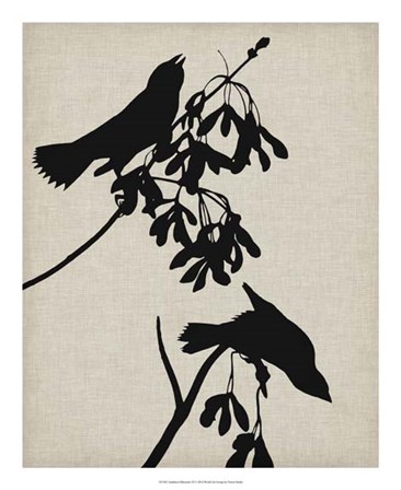 Audubon Silhouette VI by Vision Studio art print