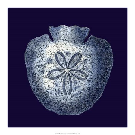 Indigo Shells III by Vision Studio art print