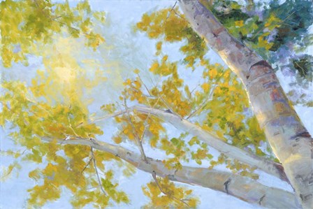 Aspen Canopy by Nanette Oleson art print