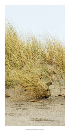 Dunes IV by Rachel Perry art print