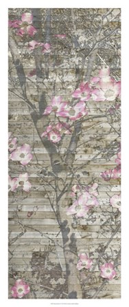 Dogwood Dance II by Jennifer Goldberger art print