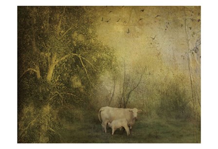 Tendre Charolais by Dawne Polis art print