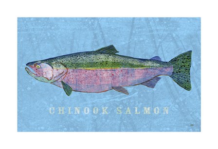 Chinook Salmon by John W. Golden art print