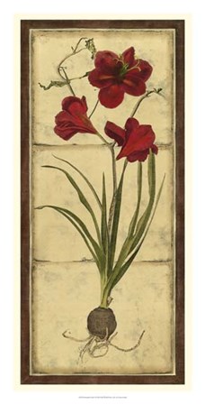 Amaryllis Panel I by Vision Studio art print