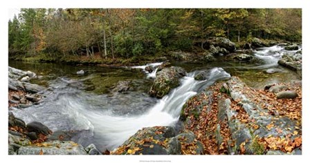 River Panorama by Danny Head art print