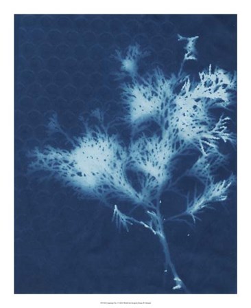 Cyanotype No.3 by Renee Stramel art print