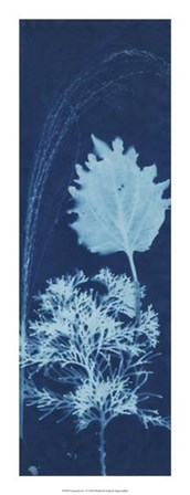 Cyanotype No.13 by Jenna Guthrie art print