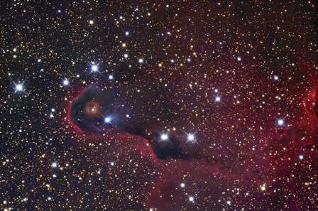 The Elephant Trunk Nebula by Robert Gendler/Stocktrek Images art print