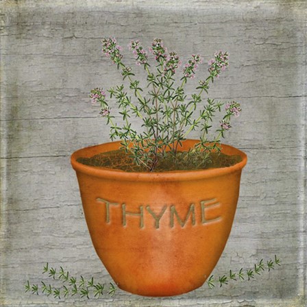 Herb Thyme by Beth Albert art print