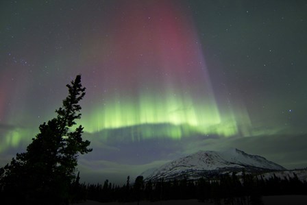 Red and Green Aurora Borealis over Carcross Desert by Joseph Bradley/Stocktrek Images art print