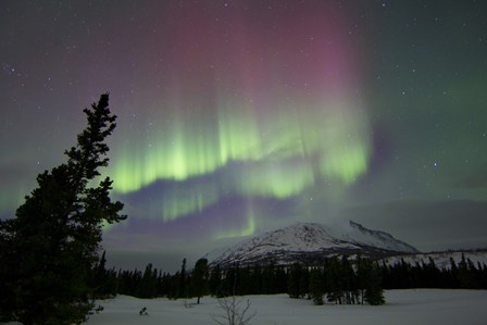 Red and Green Aurora Borealis over Carcross Desert, Canada by Joseph Bradley/Stocktrek Images art print