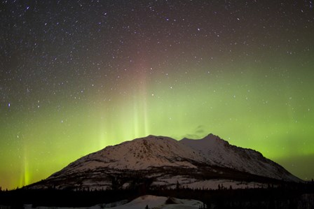 Aurora Borealis and Milky Way over Carcross Desert by Joseph Bradley/Stocktrek Images art print