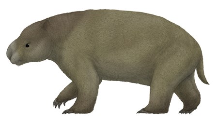 Diprotodon, the Largest know Marsupial by Vitor Silva/Stocktrek images art print